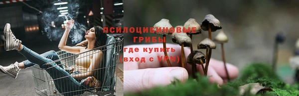 мдма Медногорск
