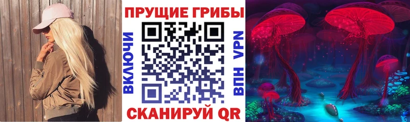 Галлюциногенные грибы GOLDEN TEACHER  наркошоп  Заринск 