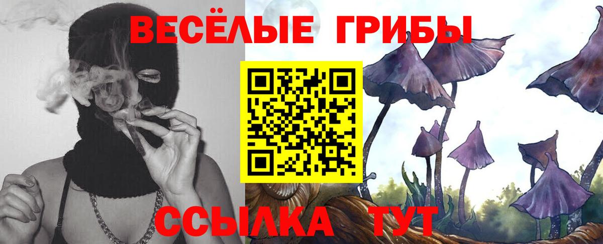 Псилоцибиновые грибы MAGIC MUSHROOMS  Вход с VPN  Заринск  Галлюциногенные грибы Psilocybine cubensis 