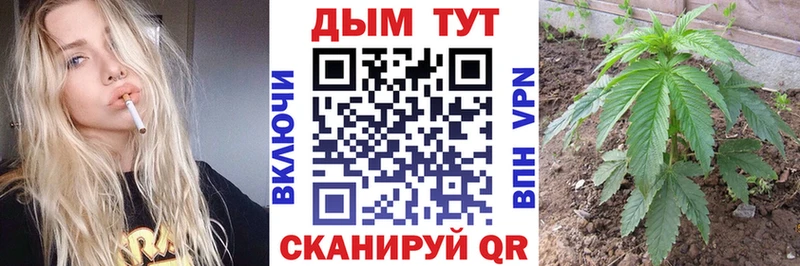 хочу наркоту  Заринск  Шишки марихуана планчик 