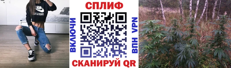 Канабис семена Заринск